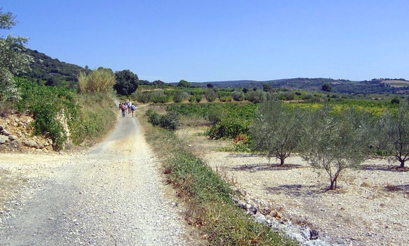 Marche2.jpg