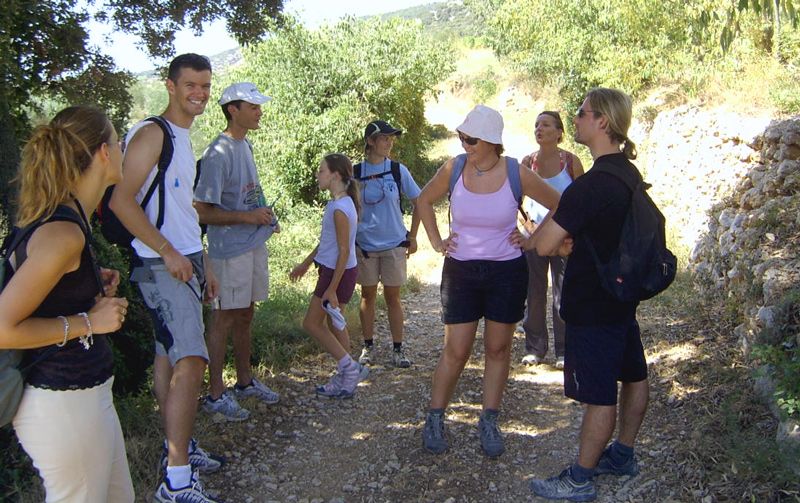 Marche4.jpg