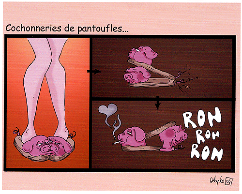 http://idata.over-blog.com/0/00/23/44/cochonnerie_de_pantoufles.gif