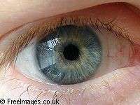 oeil1.jpg oeil1.jpg