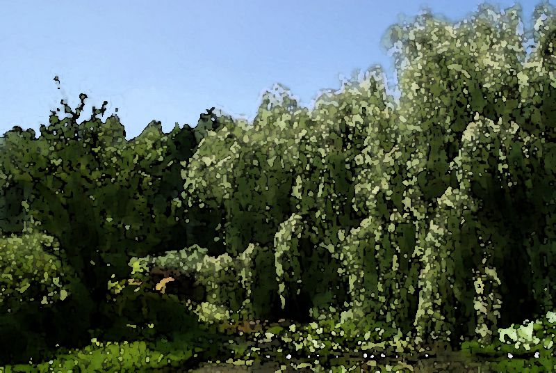jardins lac de bambois photofarfouille