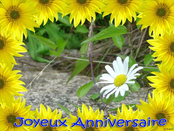 anniversaire-fleur-encadrement-tournesols-carte-600-01.jpg