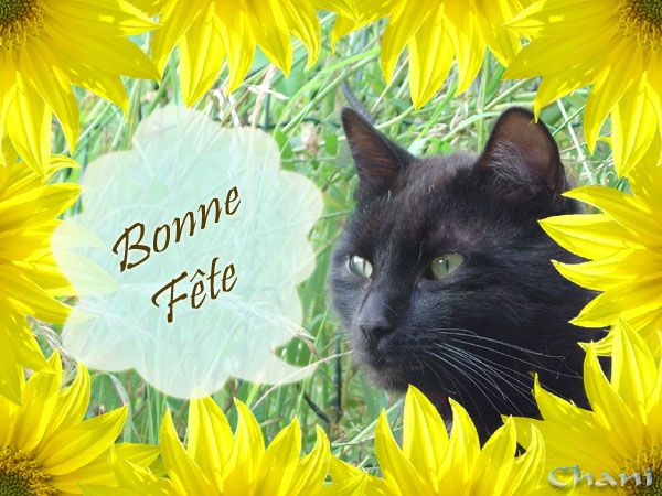 Bonne Fête Carte de bonne fête