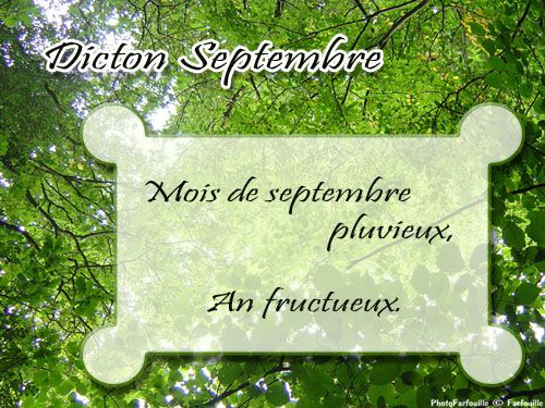 Proverbes et Dictons carte de dicton