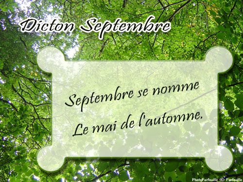 Proverbes et Dictons carte de dicton