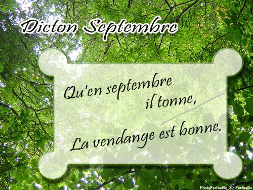 Proverbes et Dictons carte de dicton