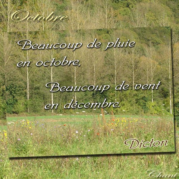 Cliquez pour voir tous les dictons carte-image-dicton