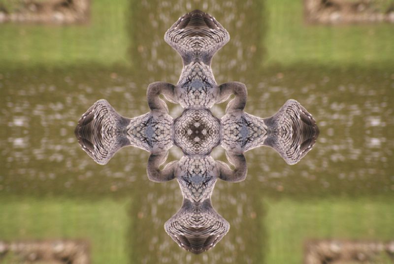 mandala-kaleidoscope-photofarfouille-mistercat