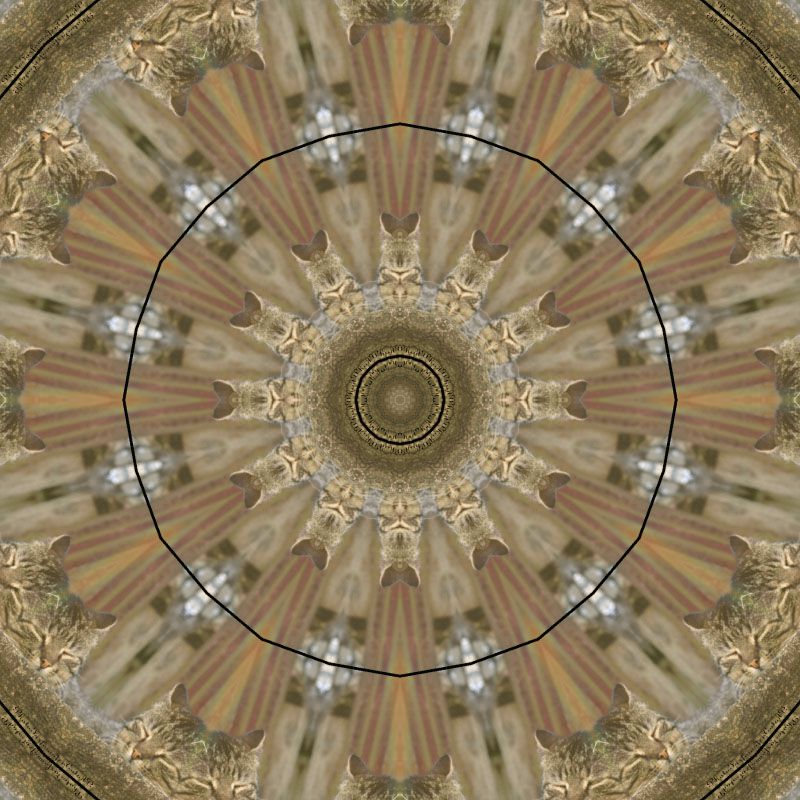 mandala-photofarfouille-kaleidoscope-image