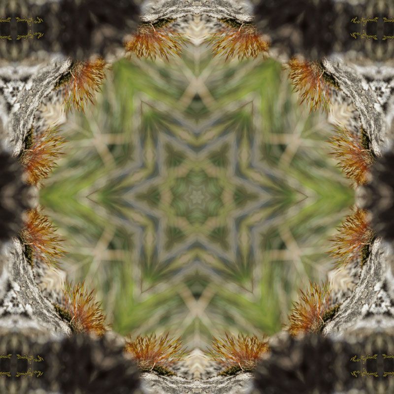 image-photofarfouille-mandala-kaleidoscope
