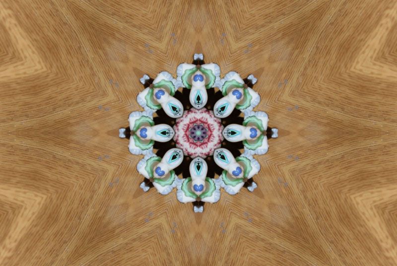 mandala-kaleidoscope-photofarfouille-petshop