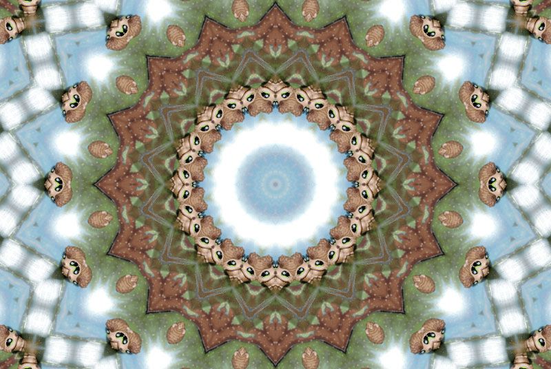 mandala-kaleidoscope-photofarfouille-petshop