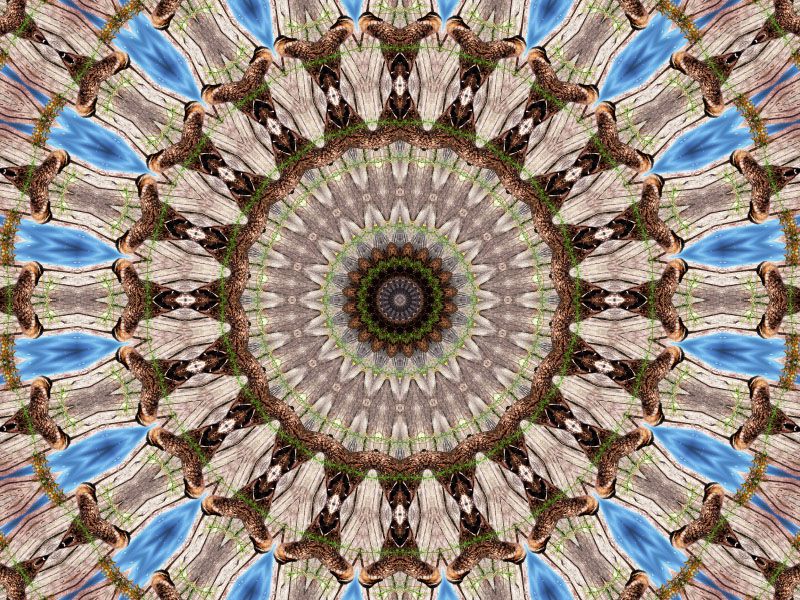 mandala-kaleidoscope-photofarfouille-canard