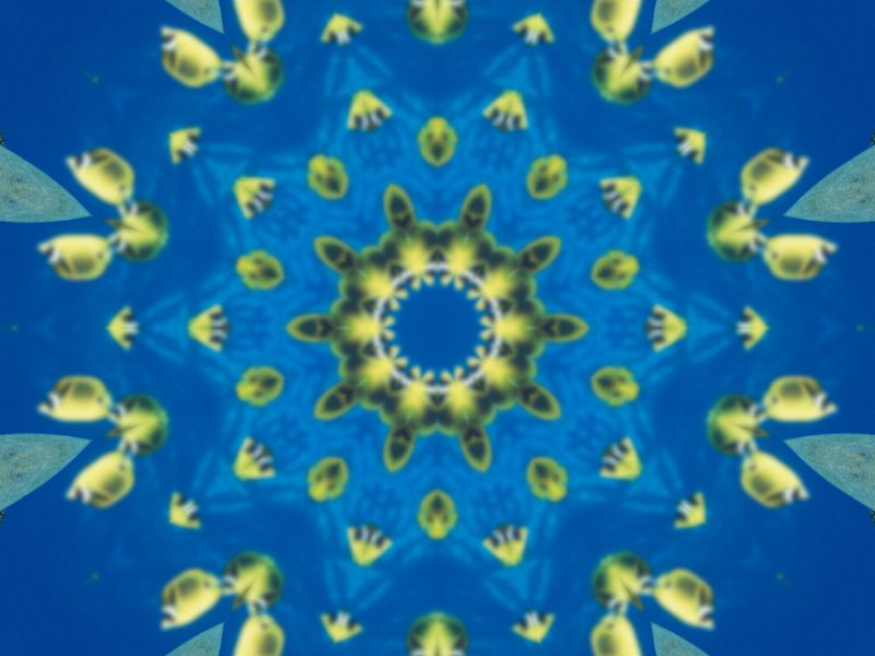mandala-image-photofarfouille-couleur