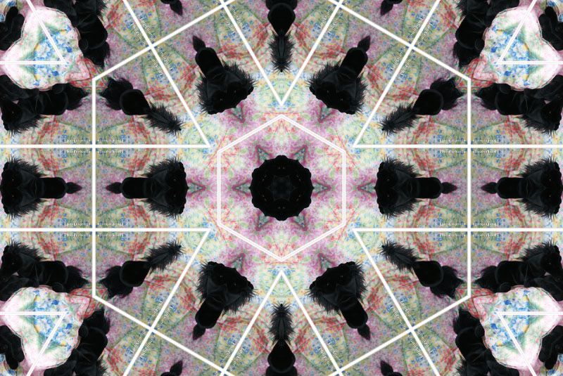 photofarfouille-peluche-mandala-kaleidoscope