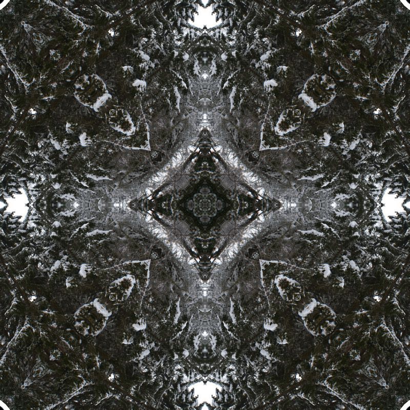 decembre-belgique-neige-photofarfouille-kaleidoscope