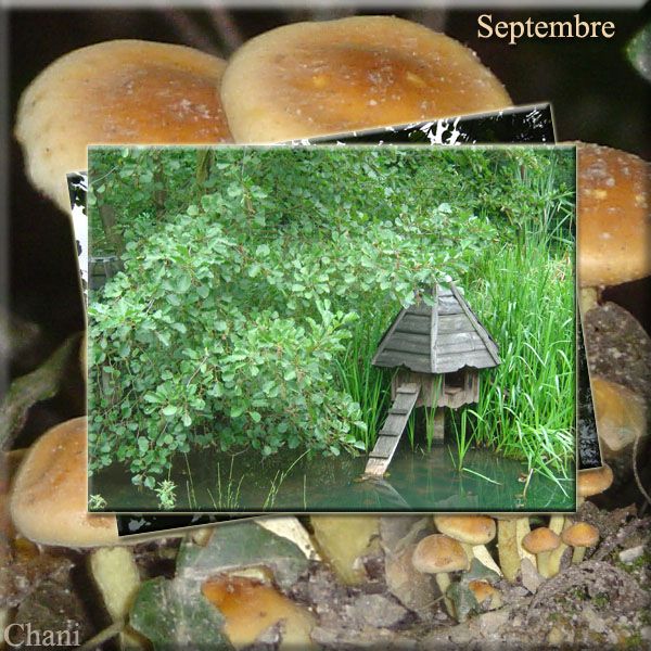 Au fil des Saisons photo