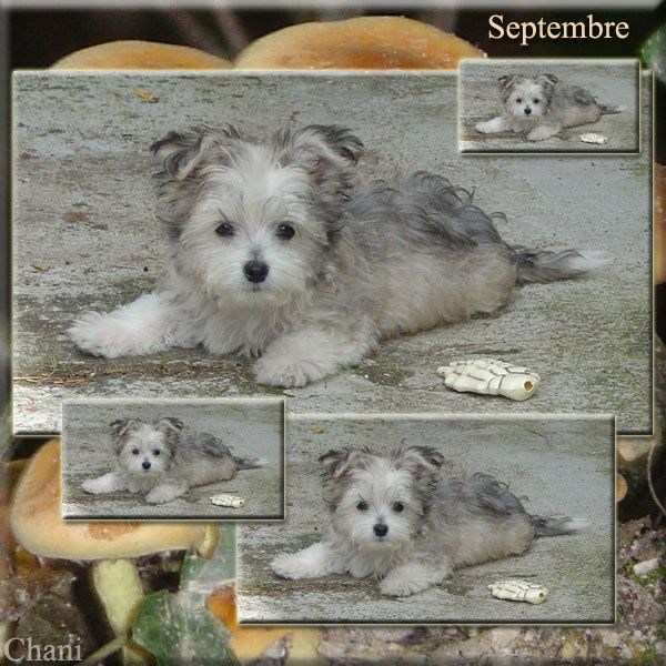 Au fil des Saisons photo