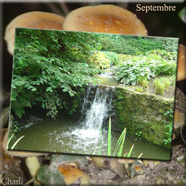 Au fil des Saisons photo