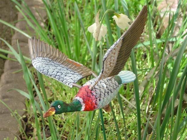 http://idata.over-blog.com/0/00/45/64/newani/canard-volant.jpg