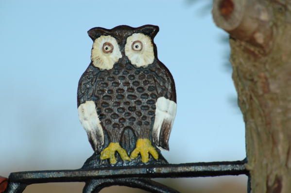 hou hou hou photo : hibou
