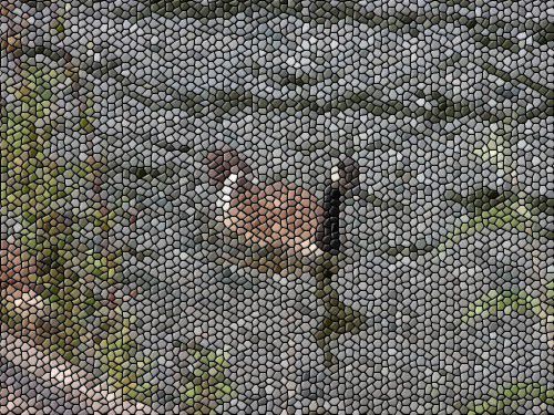 canard-mosaique-image-photofarfouille