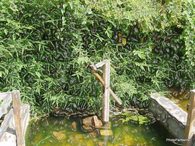 promenade-lac-bambois-belgique-photofarfouille