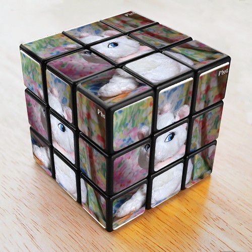 image-photo-rubick-cube-peluche-photofarfouille