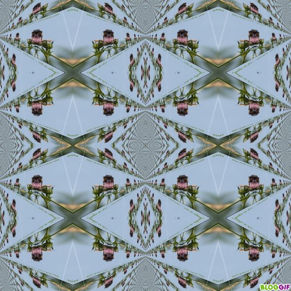 un-soir-de-juin-photofarfouille-kaleidoscopes