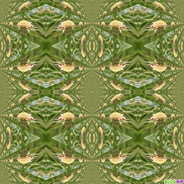 un-soir-de-juin-photofarfouille-kaleidoscopes