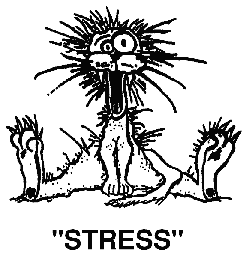 stress
