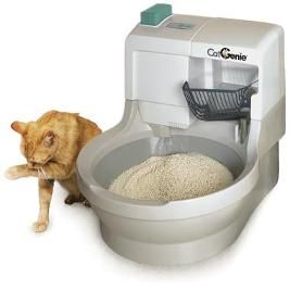 cat-genie.jpg