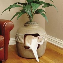 litter-box.jpg