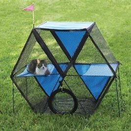 outdoor-cat-playpen.jpg