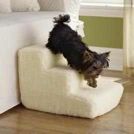 pet-staircase.jpg