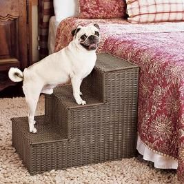 pet-wicher-step.jpg