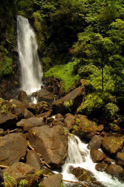 dominique cascade trafalgar falls