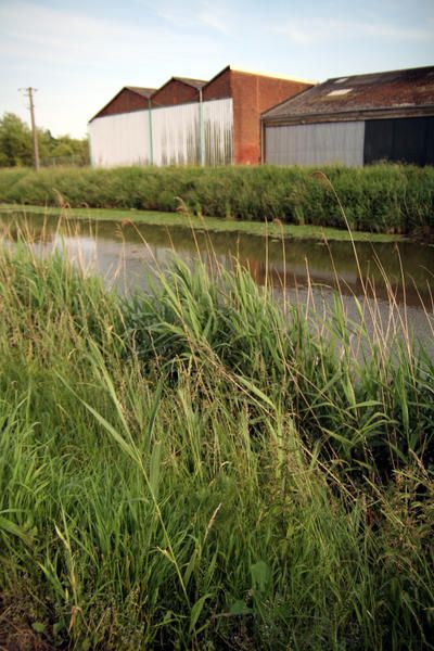hangar A25 canal