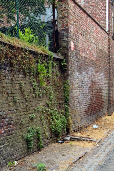 lille wazemmes petit passage