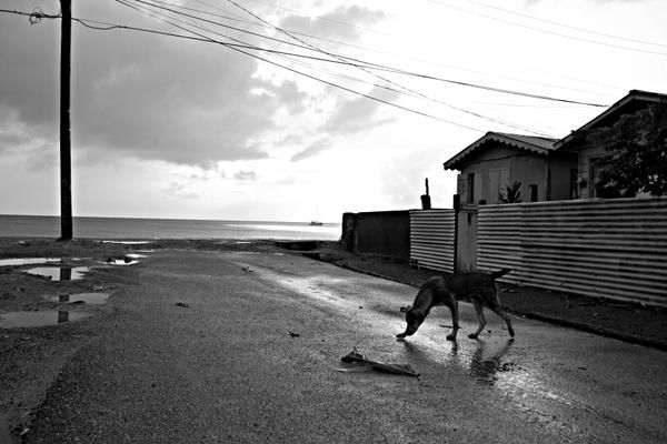 sainte lucie gros islet
