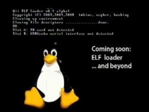 exploit-wii.jpg