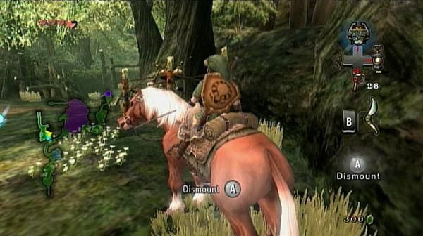 TEST : ZELDA TWILIGHT PRINCESS / Wii Vs GAMECUBE -