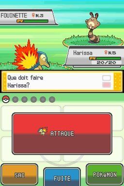 pokemon-or-combat.jpg