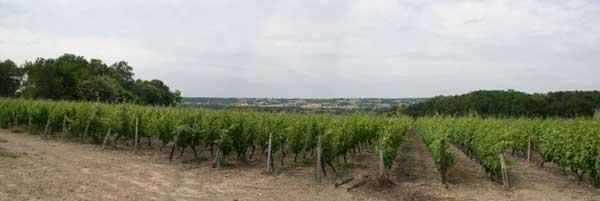 Rencontres jasnieres 2016