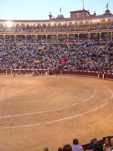 Madrid-Feria-d-automne-2007-095.jpg