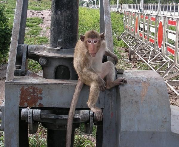 214-le-garde-barri-re-de-Lopburi.jpg