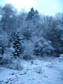 DSCN8205.jpg
