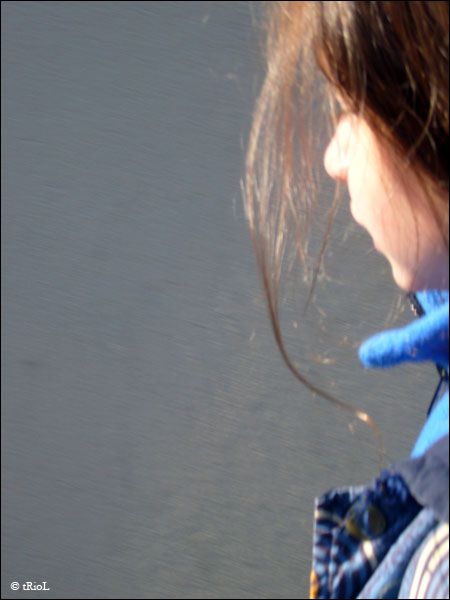 av07-091profil.jpg