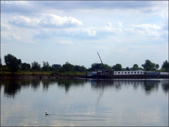 ao07-146holl.jpg