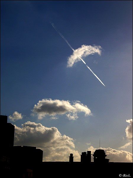 no07-010nua.jpg